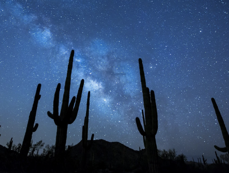 Universe On Wheels | Planetarium Dome